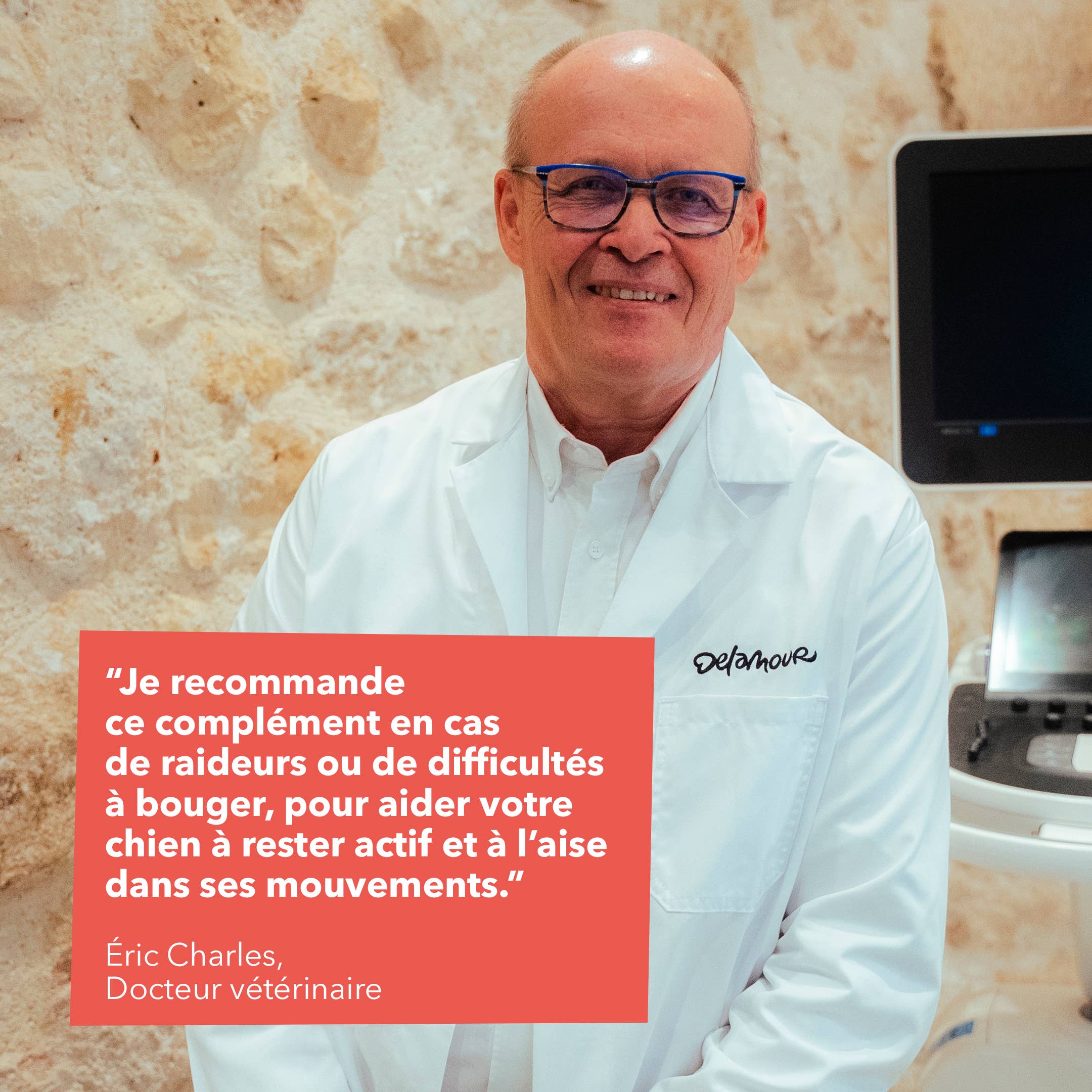 Delamour - Wholesale Pet Supplement - Dog - Les Bouchées - 90 chews to support Joints (270g)8