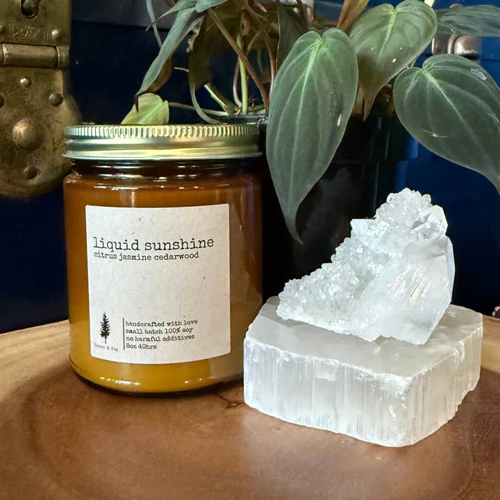 8oz Hand Poured Soy Small Batch Candle-Liquid Sunshine for wholesale by forest & fog