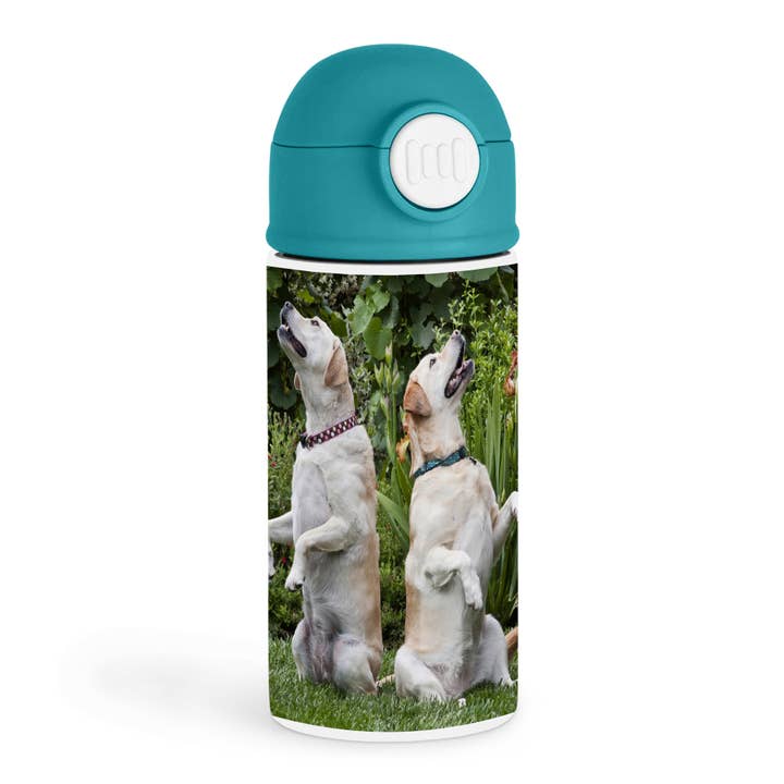 3dRose - Vente Bouteilles d'eau - 3dRose, Deux chiens Labrador Retriever jaunes - NA02 ZMU0129 - Zandria Muench Beraldo, Bouteille d'eau pour enfants