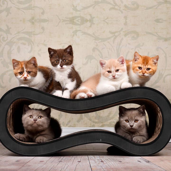 cat-on - Wholesale Pet Scratcher - Cat - Singha M design cat furniture