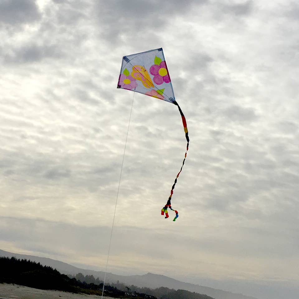 In the Breeze, LLC. - Vente Cerf-volant - Cerf-volant diamant4