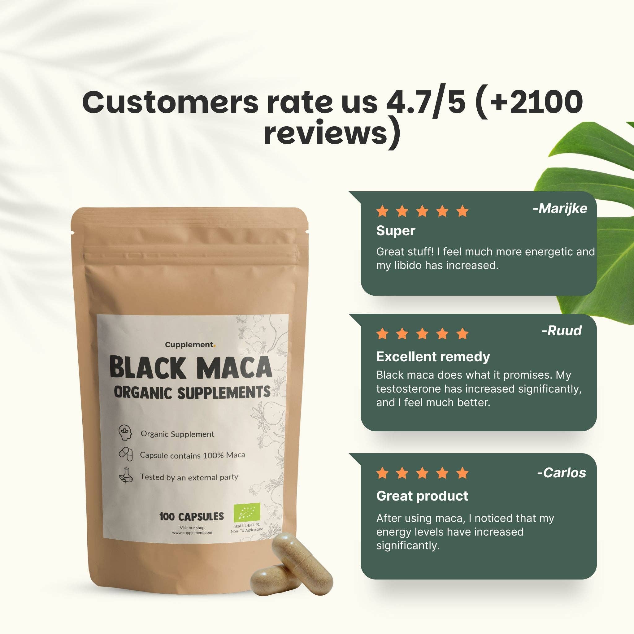 Cupplement b.v. - Vente Supplément oral/vitamine - Gélules de Maca Noire 500mg Bio 100 Gélules5