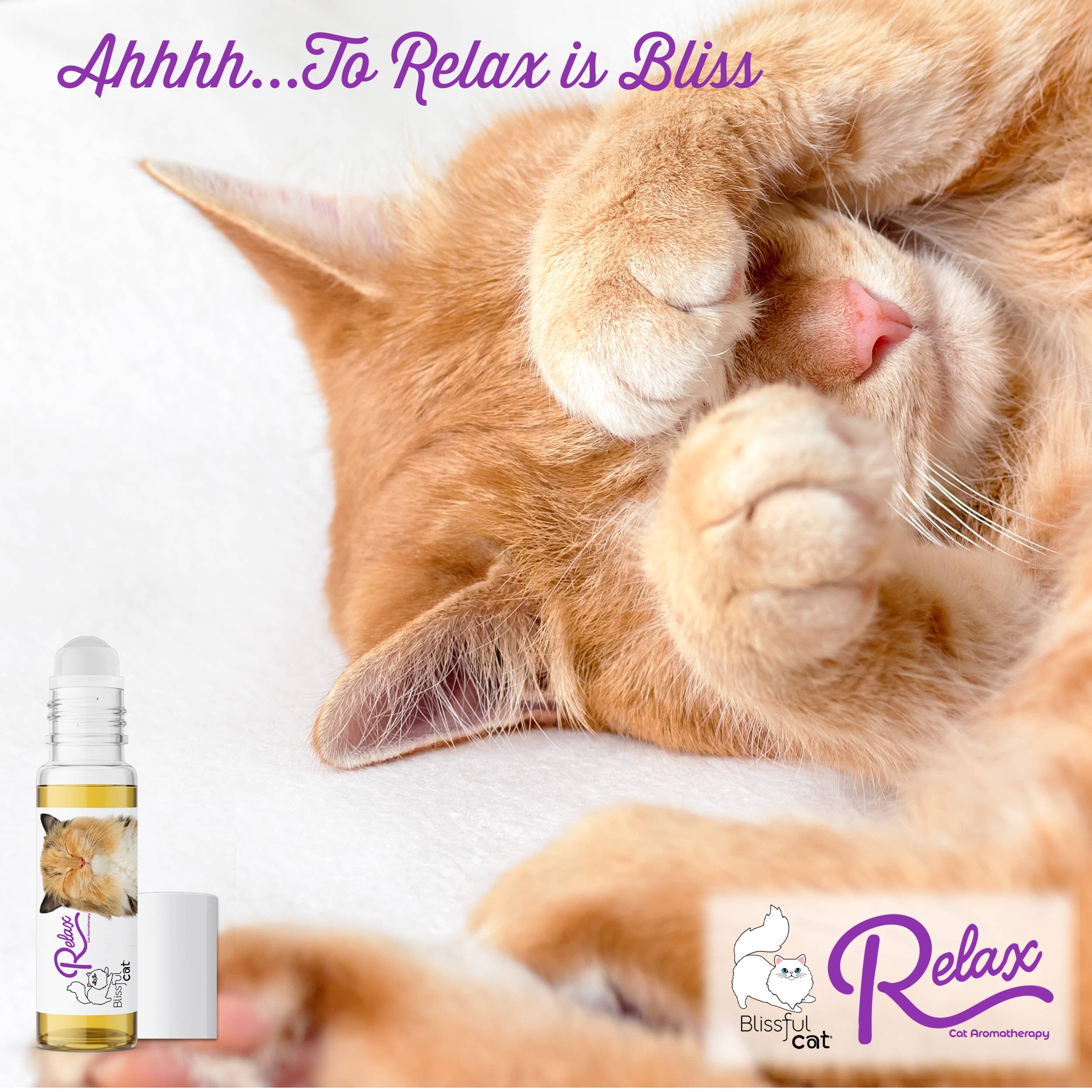 The Blissful Dog - Wholesale Pet Grooming Tool - Cat - The Blissful Cat Relax Aromatherapy Spray & Roll-on10