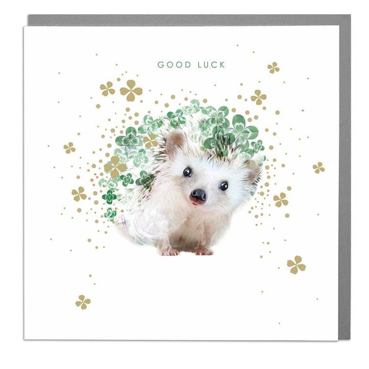 Hedgehog Good Luck Card for wholesale by Lola Design Ltd