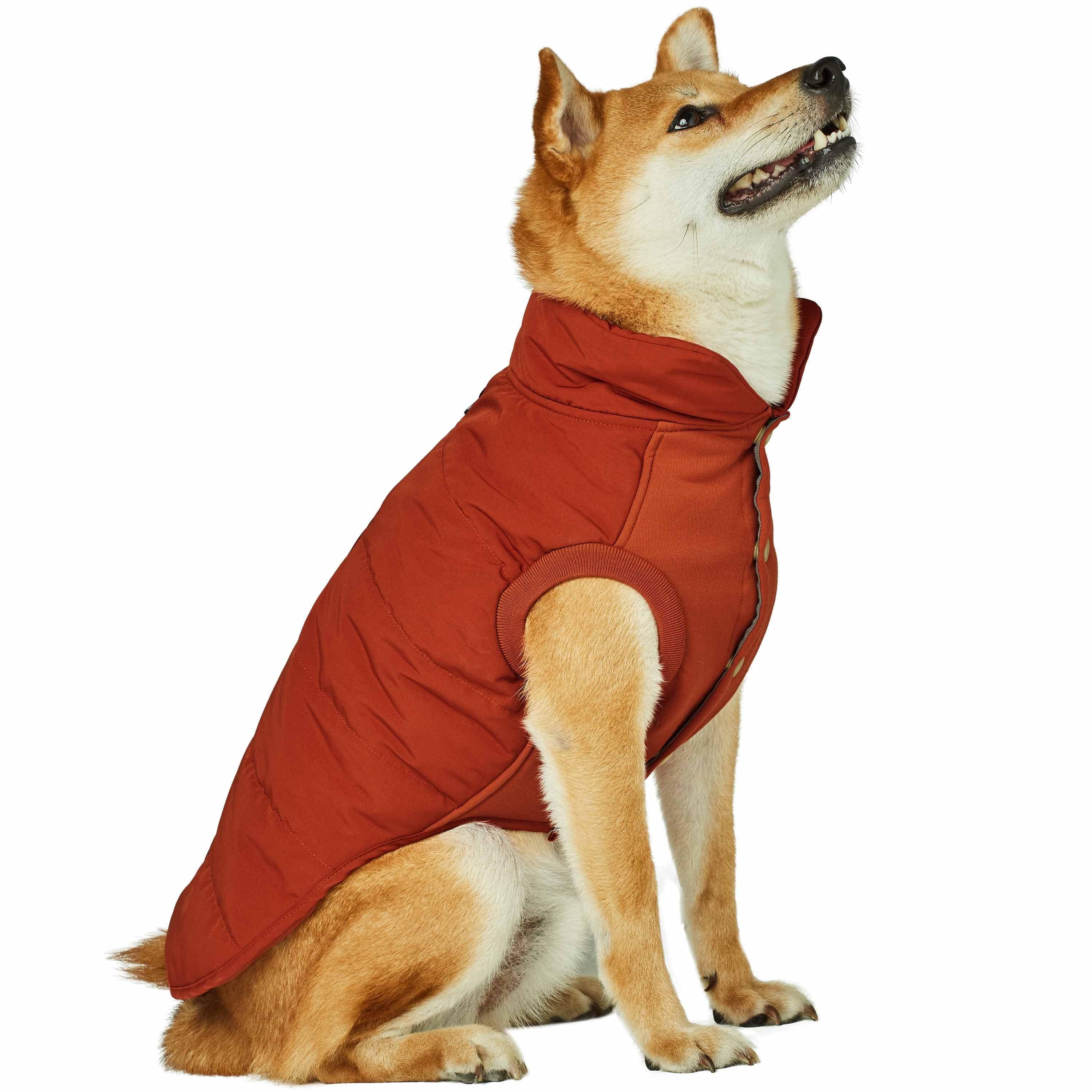 Blueberry Pet - Wholesale Pet Jacket - Dog - Custom-woven & Dyed Human Grade Outdoor Dog Puffer Jacket19