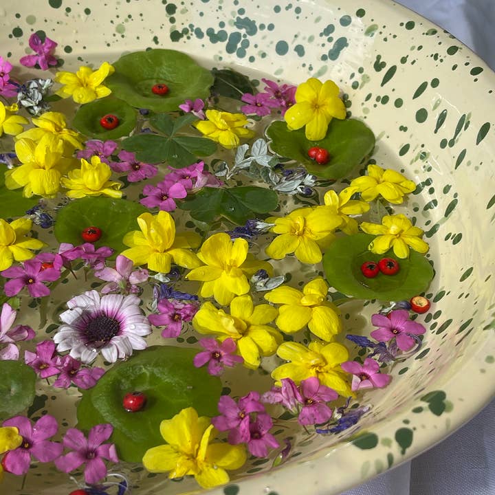 IVO ANGEL - Wholesale Decorative plate/dish/bowl - The Catinella3