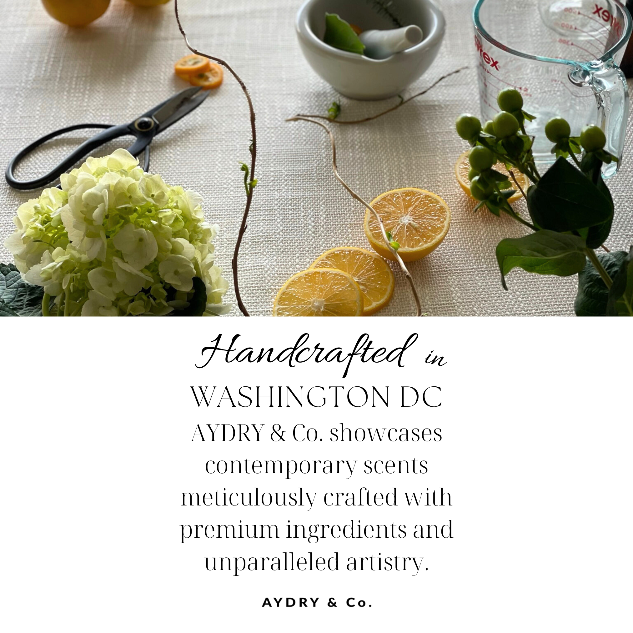 AYDRY & Co. - Venta al por mayor Velas en tarros - ORACIÓN MATUTINA DOMINGO CASA VELA6