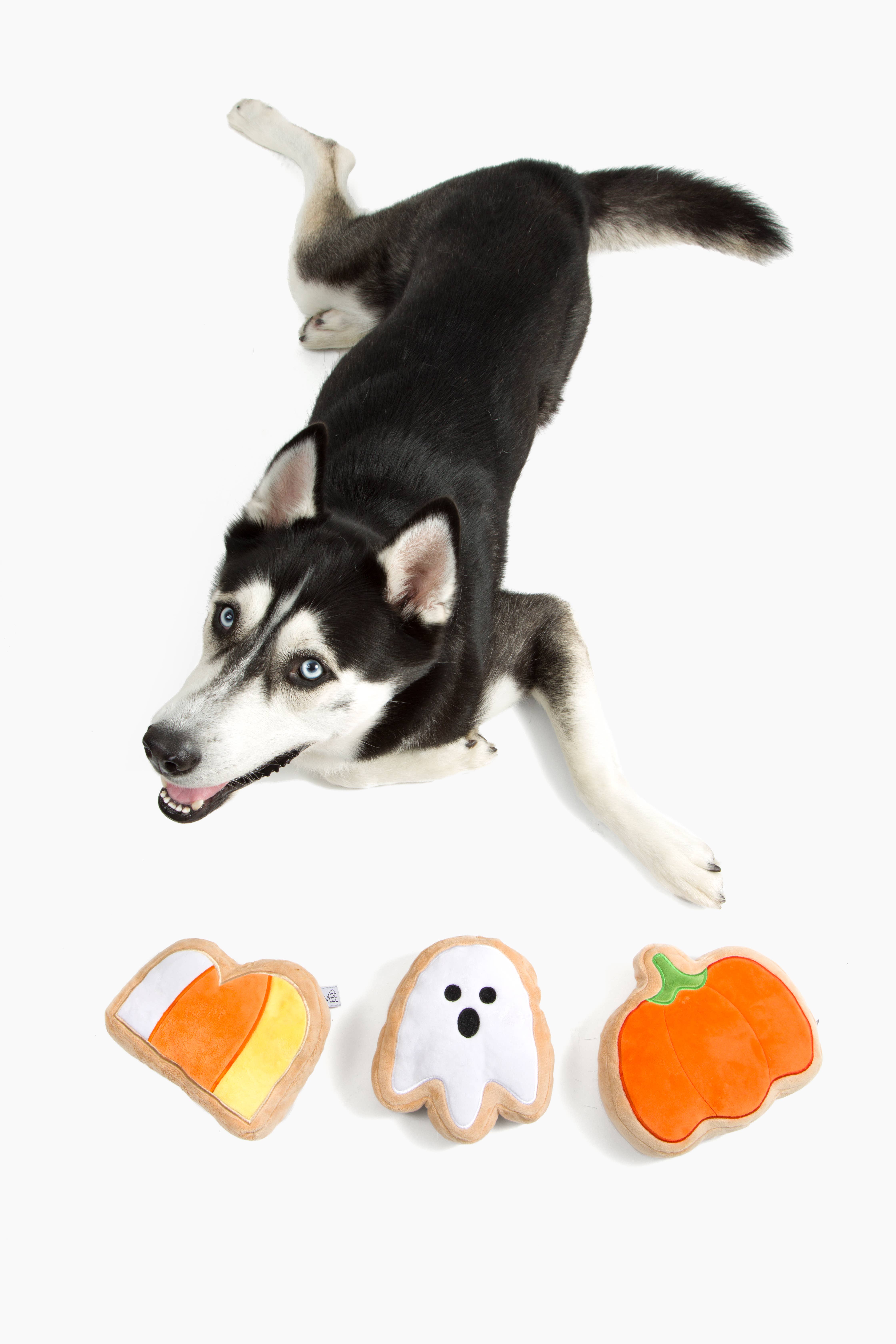 Midlee Designs - Wholesale Pet Plush Toy - Dog - Midlee BOO Sugar Cookie Halloween Plush Dog Toys6