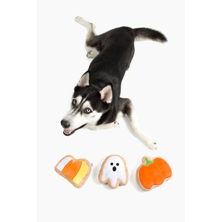 Midlee Designs - Wholesale Pet Plush Toy - Dog - Midlee BOO Sugar Cookie Halloween Plush Dog Toys6