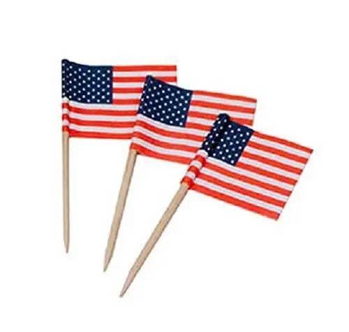 Party Expo, LLC - Wholesale Cocktail Pick - USA Flag Toothpicks - (100pcs}