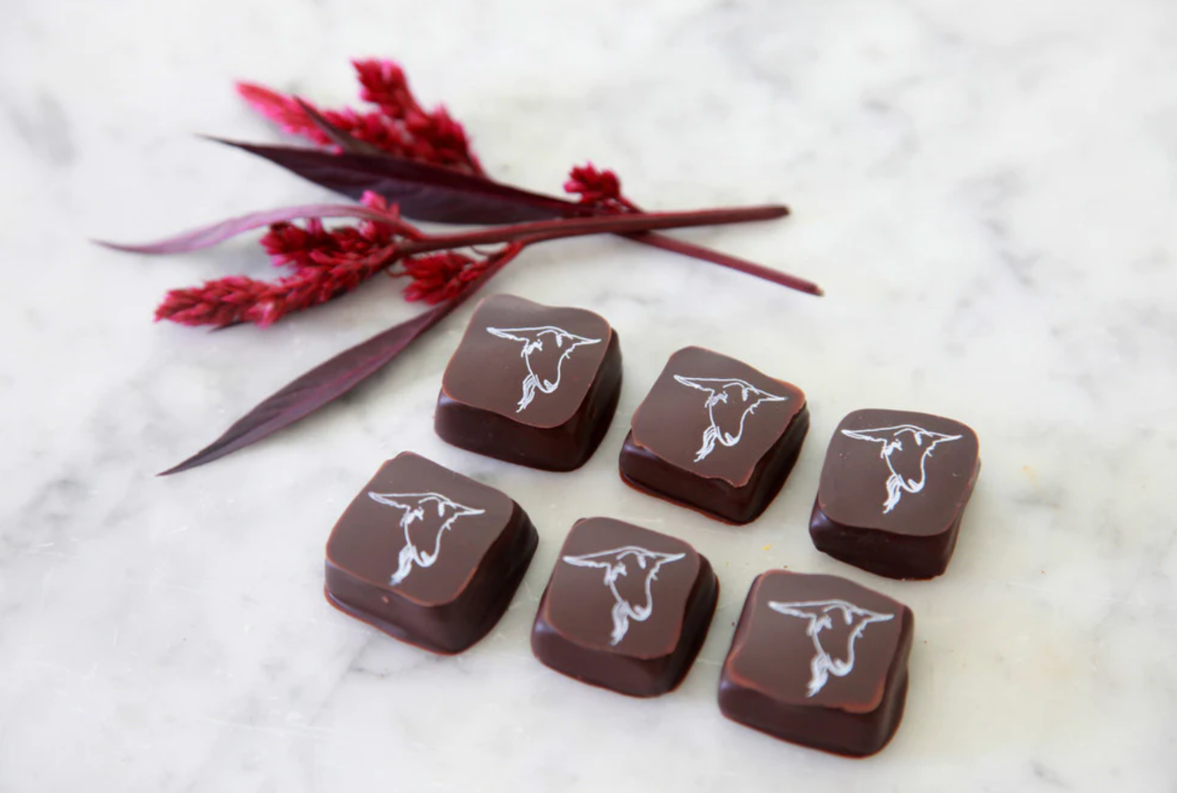 Big Picture Farm - Wholesale Chocolate Covered Sweets - Bulk Chocolate Covered Goats Milk Caramel1