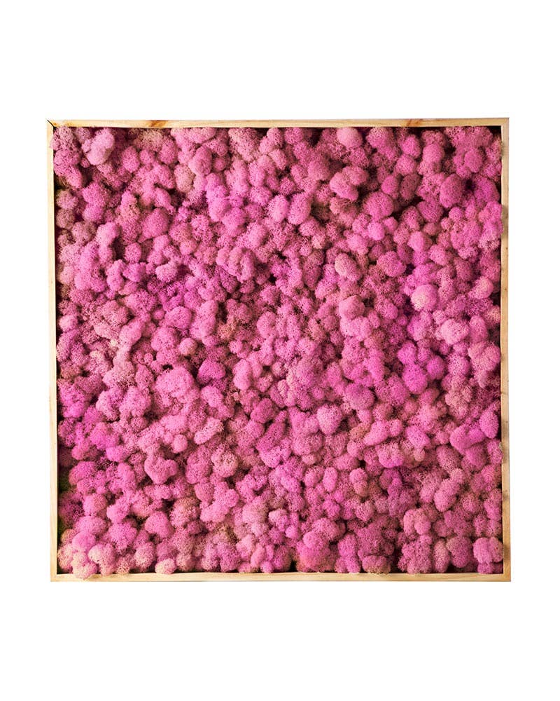 SuperMoss - Wholesale Wall Accent - Vertical Gardens - Reindeer Moss Walls11