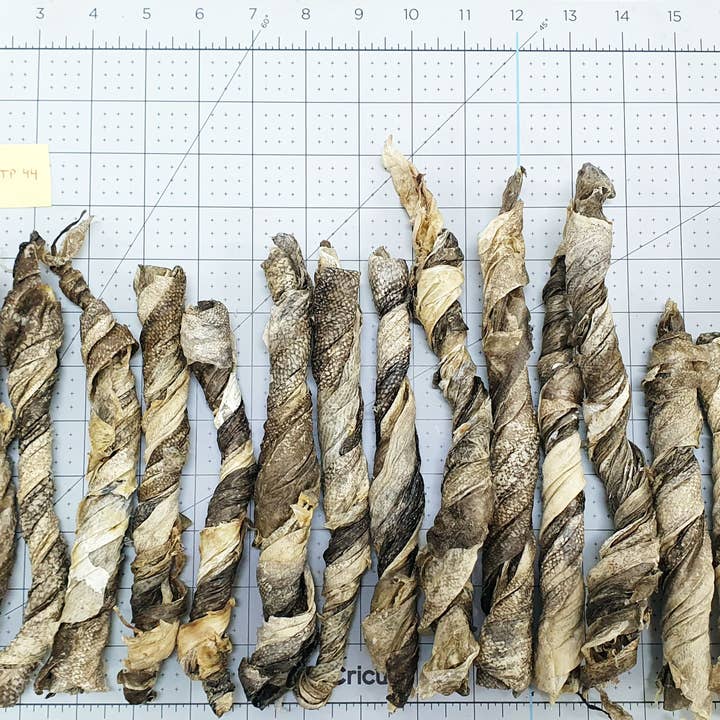 Rouleaux de peau de morue islandais, 12 pouces, 28 g, en vrac, boîte de 35 pour la vente par TickledPet