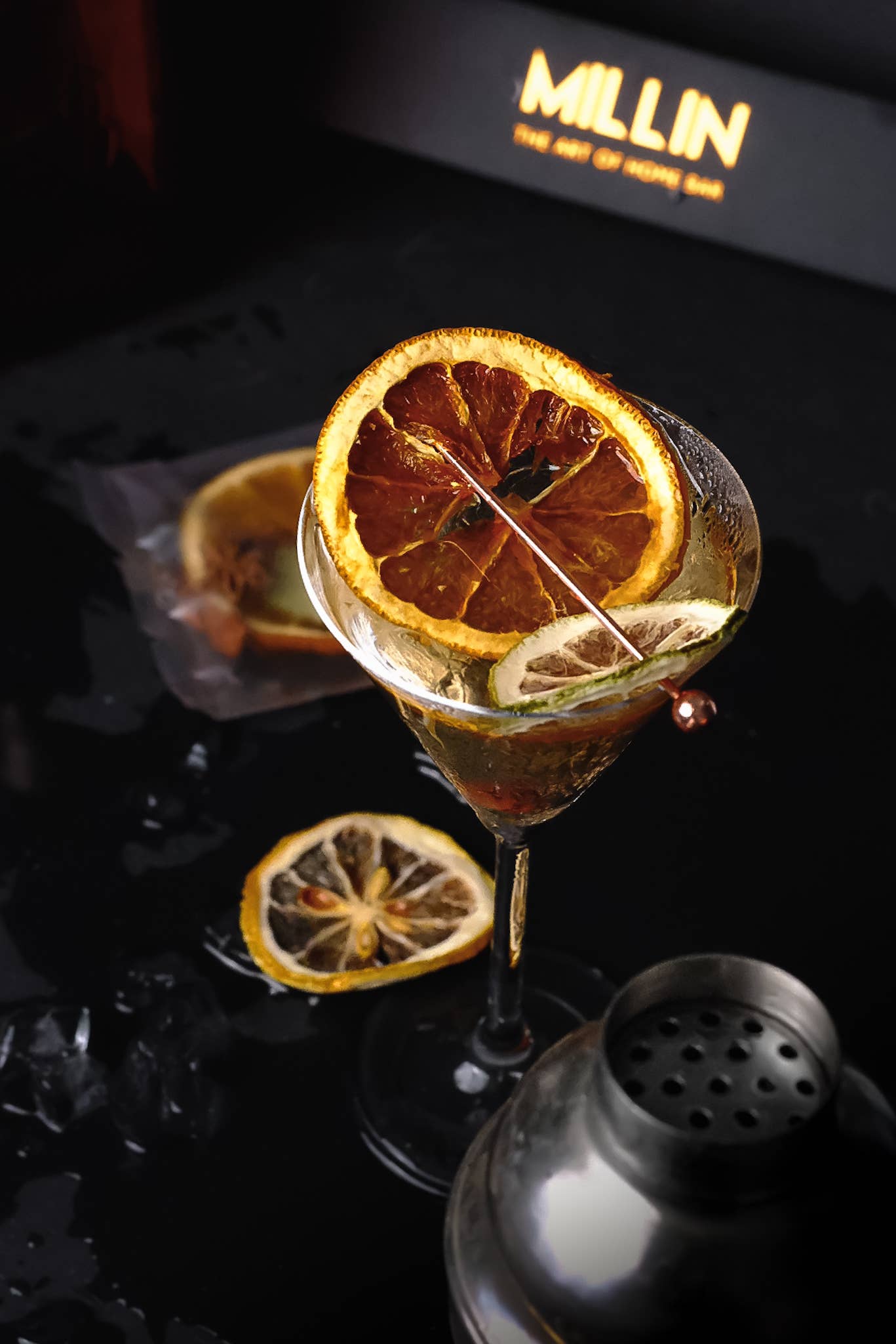 MILLIN - Vente Mélange/sirop pour cocktails - Ensemble de Garnitures de Cocktail aux Fruits Secs Gourmet6