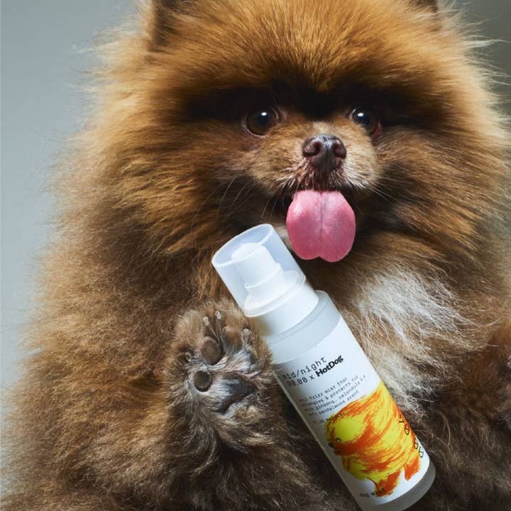 HotDog Pets - Wholesale Pet spray – Dog - Dog Mist - Mid/night 00.00 x HotDog2