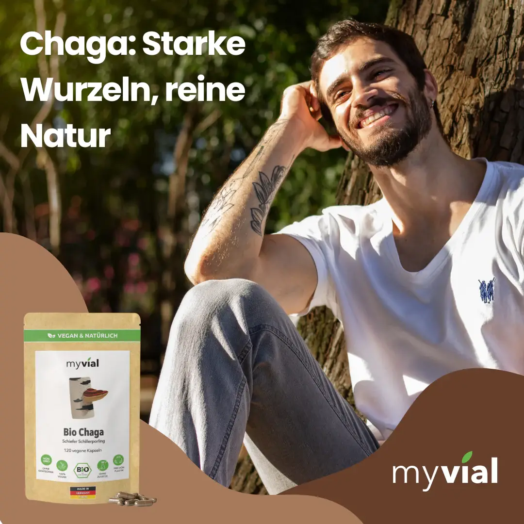 myvial - Wholesale Oral Supplement/Vitamin - Organic Chaga 120 capsules7