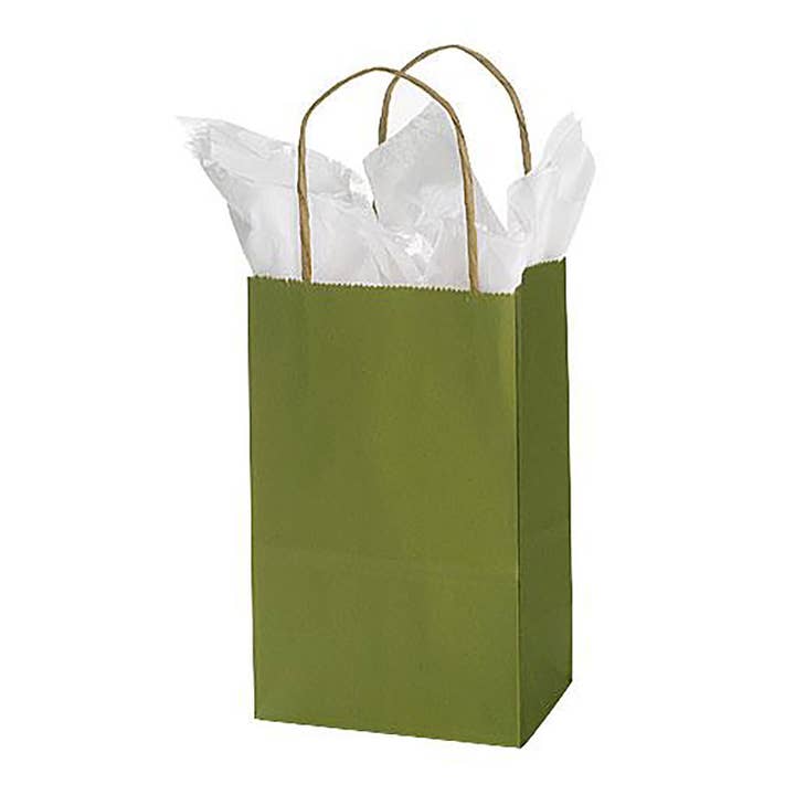 Store Supply Warehouse - Wholesale Gift Bag - Colorful Kraft Paper Shopping Bags35