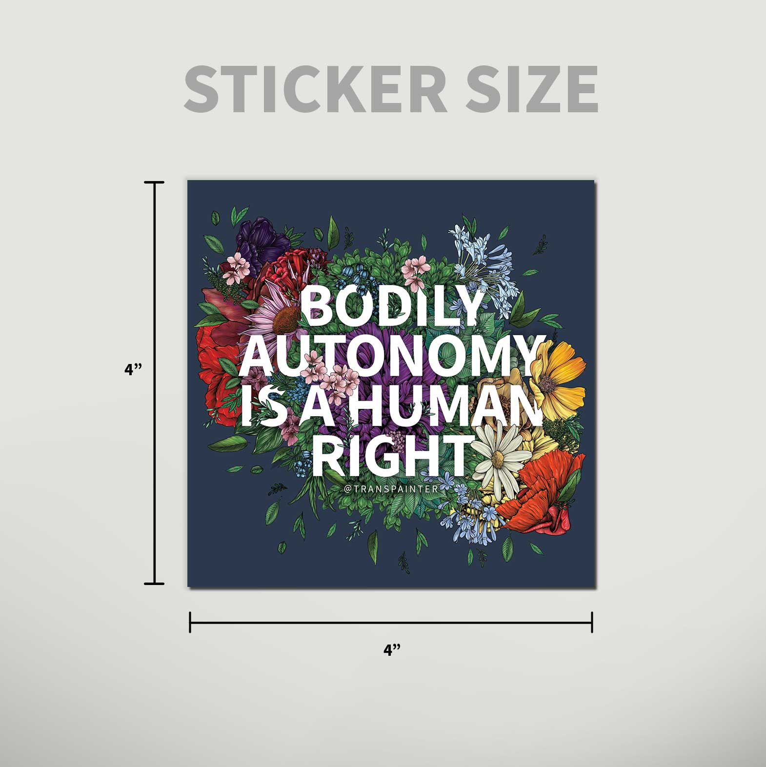 Transpainter - Wholesale Sticker - Bodily Autonomy is a Human Right Sticker | Feminist Stickers2