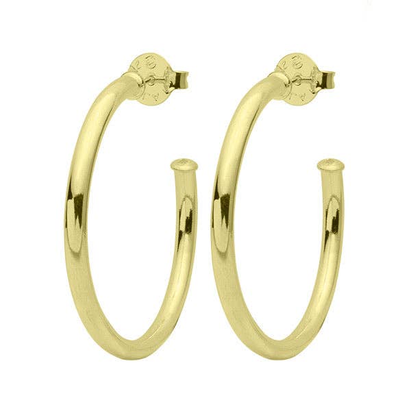 SF BRAND INC - Wholesale Hoop Earrings - Small Everybody's Favorite Hoops20