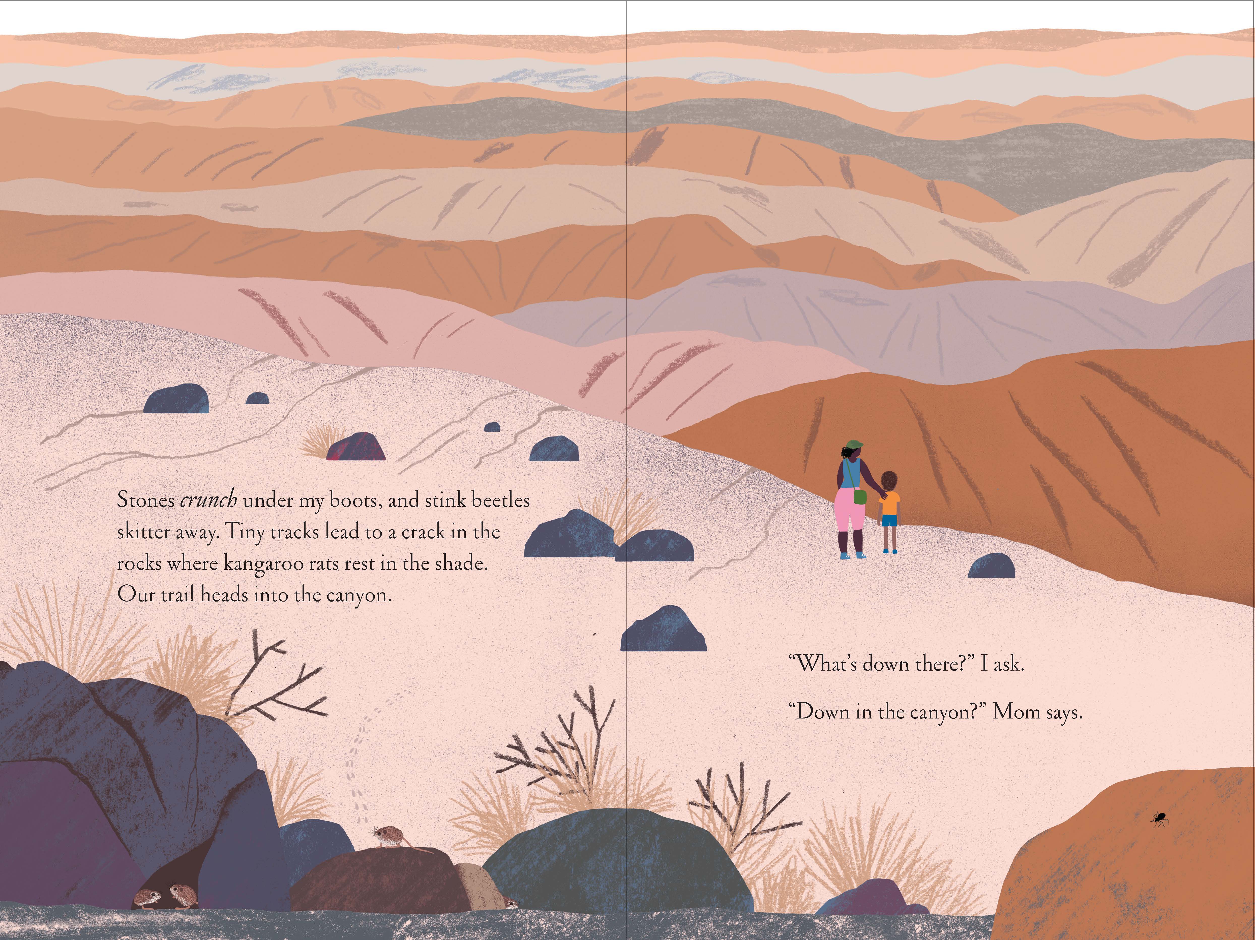 Chronicle Books - Wholesale Nature & Outdoors - Over and Under the Canyon5