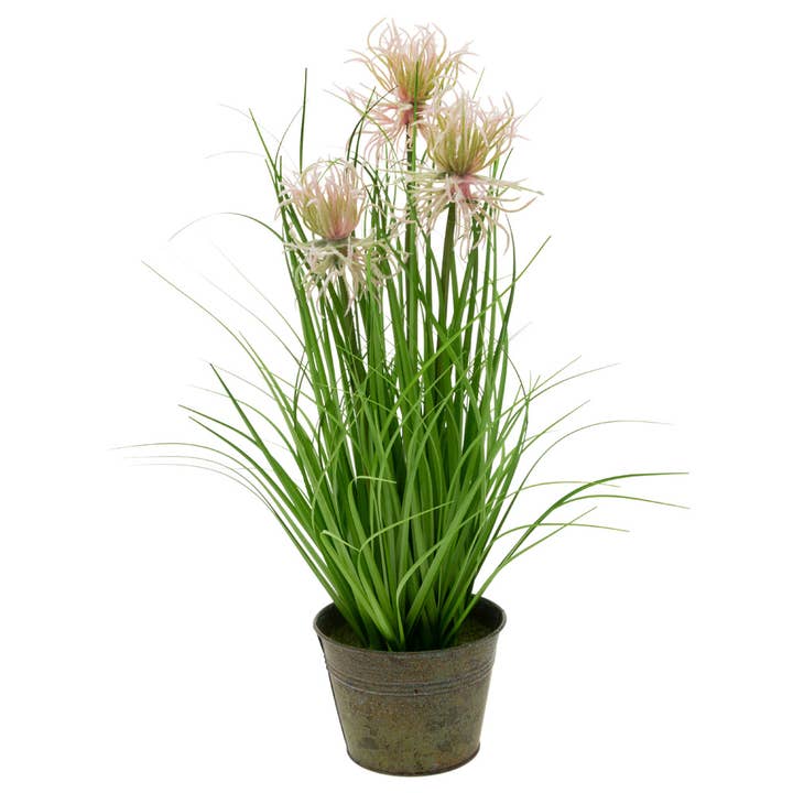 18" Tall Pink Sea Urchin Grass Décor for wholesale by Boston International