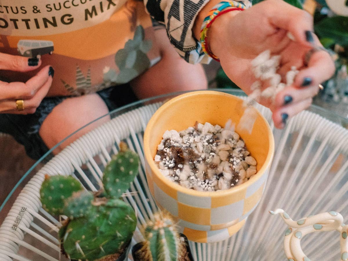 Ivy May Co - Wholesale Planting/Potting Soil - Bulk Soil- Premium Cactus & Succulent Potting Mix3