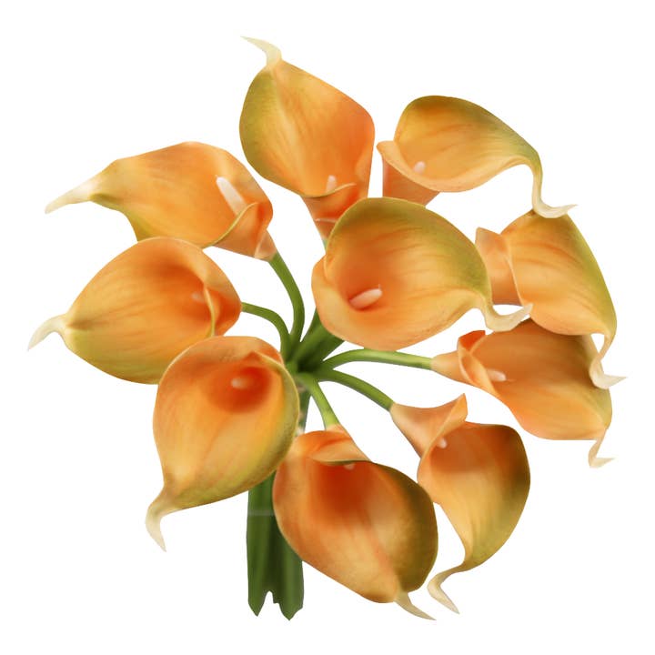 Angel Isabella - Vendita all'ingrosso Fiori finti - Calla Real Touch arancione tramonto, con steli da 35,6 cm e 25,4 cm9