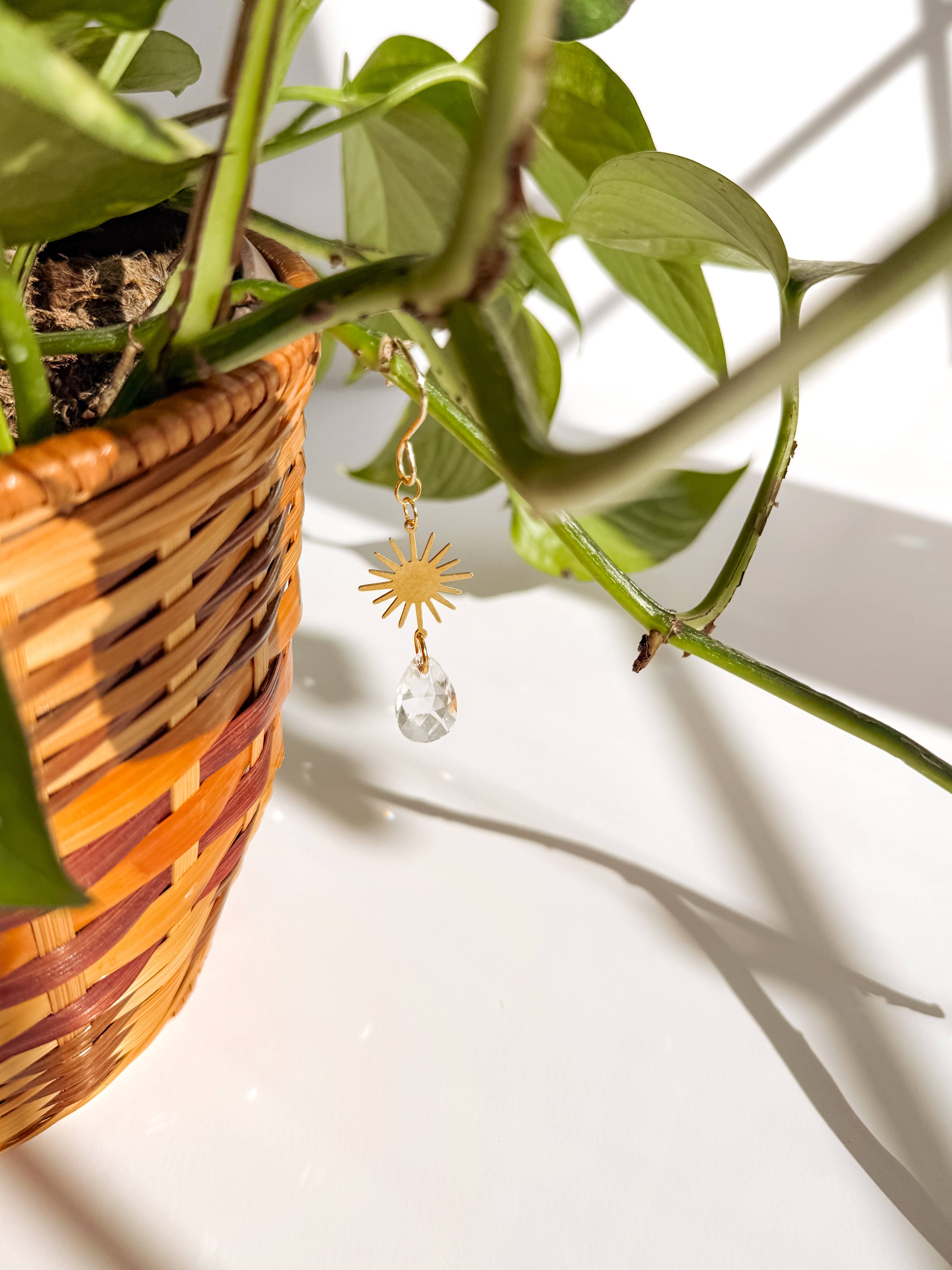 Meraki The Studio Co. - Wholesale Suncatcher - Plant Charm | Suncatcher + Sun | Houseplant Accessories2