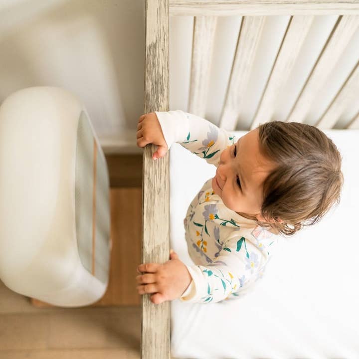 Sereniby - Wholesale Air Purifier - Sereniby