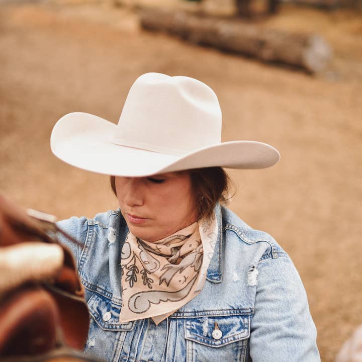 Tirzah Lane Art - Wholesale Scarf - Women's - Prairie Skies Wild Rag Western Silk Scarf2