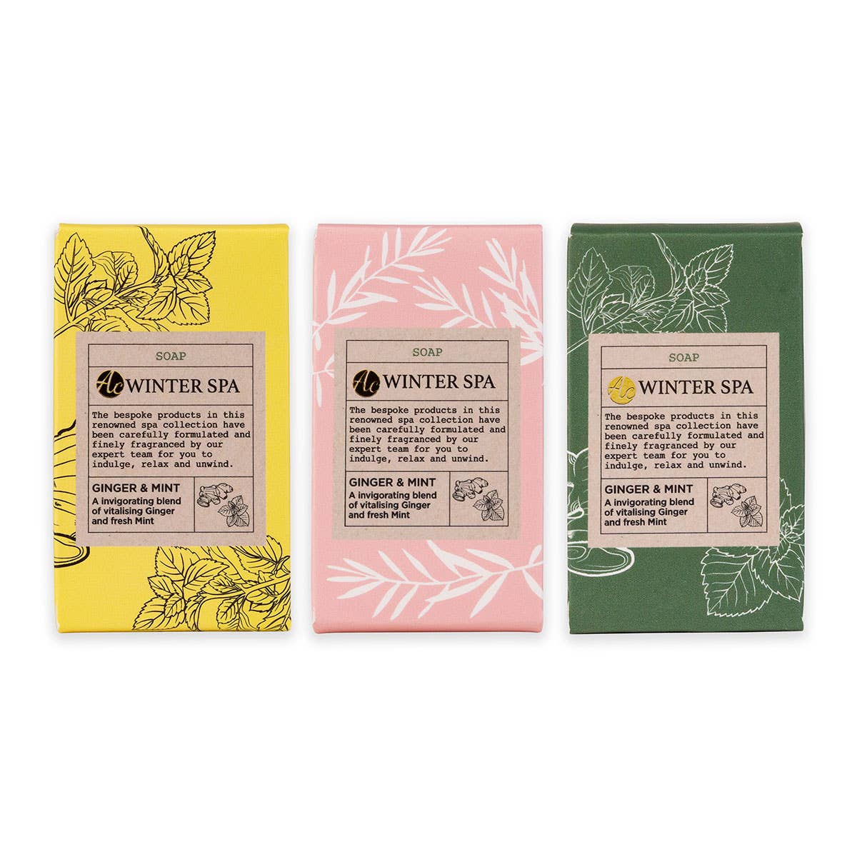 Accentra - Wholesale Bar Soap - Winter Spa Soap in Gift Box, 30g, Ginger & Mint Scent1