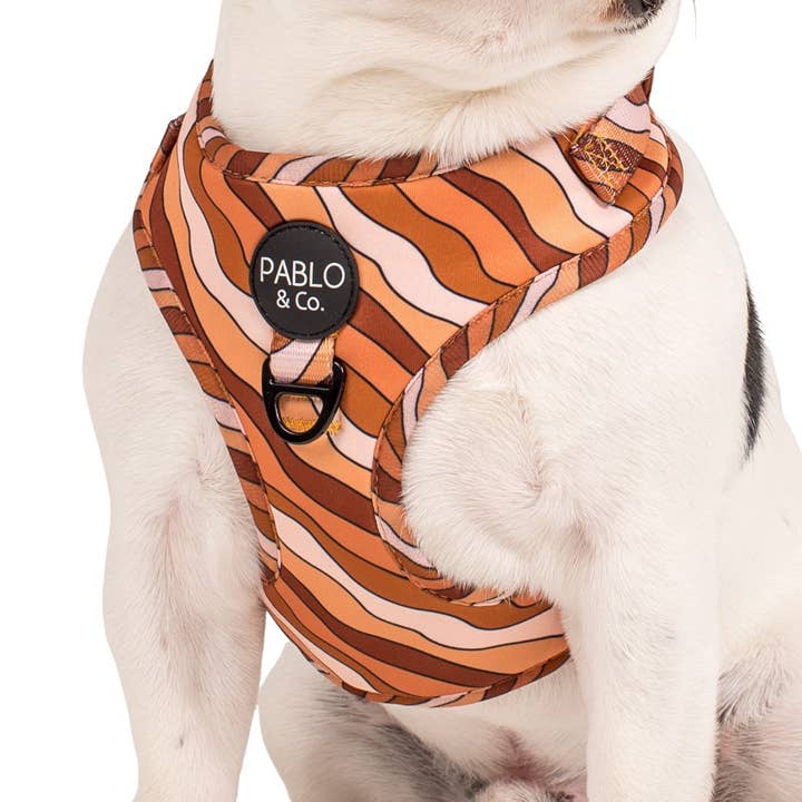 Pablo & Co. Boutique - Wholesale Pet harness – Dog - Espresso Swirls: Dog Adjustable Harness1