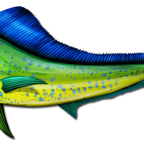 Mahi Fish Sticker for engroshandel hos Real Sticky