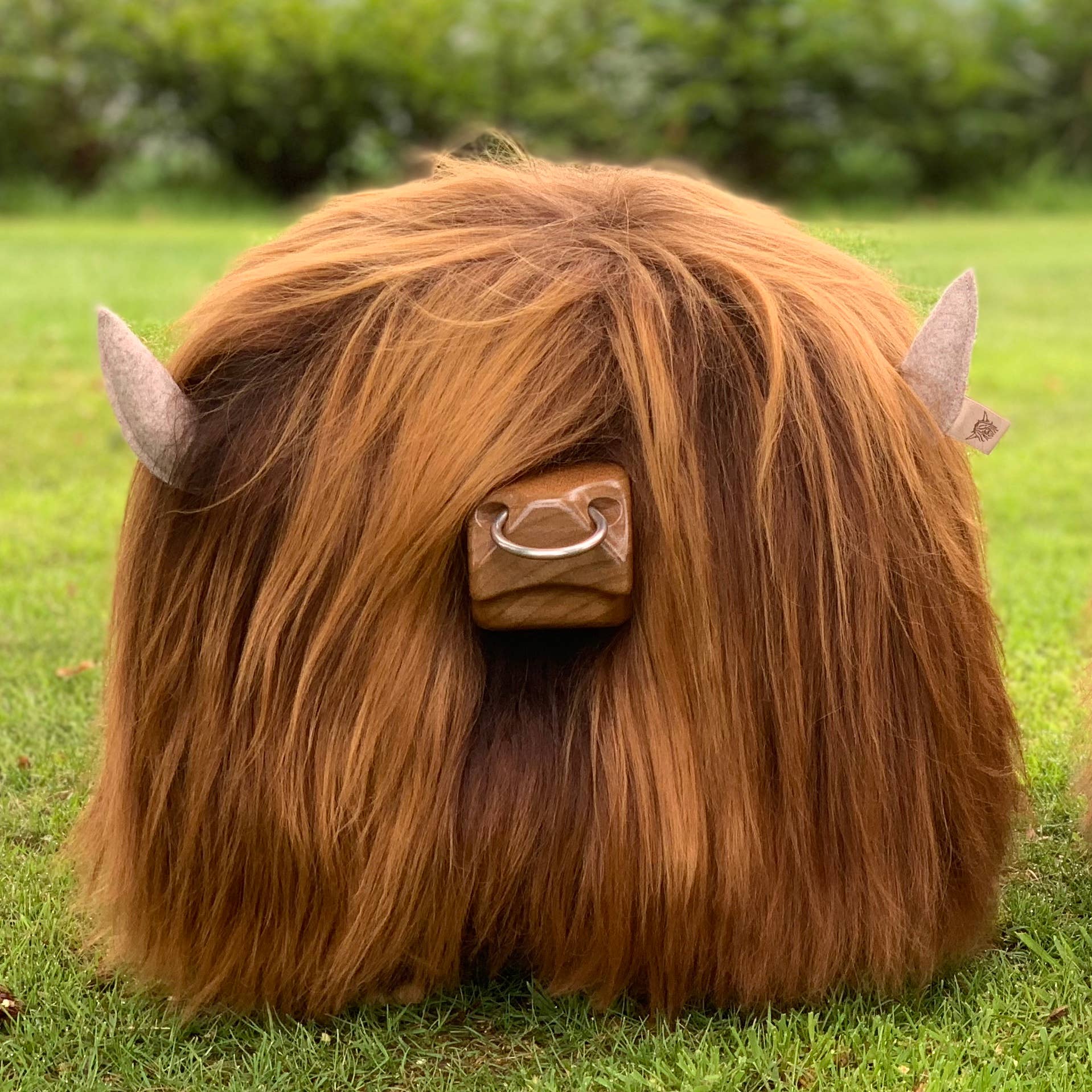 Tweed yourself - Vente Tabouret - Repose-pieds Highland Bull - CHESTNUT + anneau de nez5