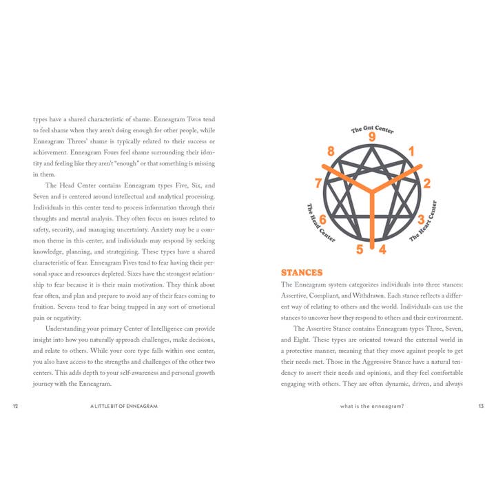 Hachette Book Group - Wholesale Self-Help & Personal Development - A Little Bit of Enneagram: An Introduction4
