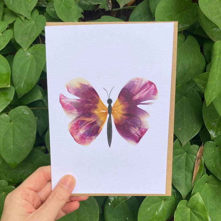 Tulip Petal Butterfly Frameable Card for wholesale by Little Leaf Ink