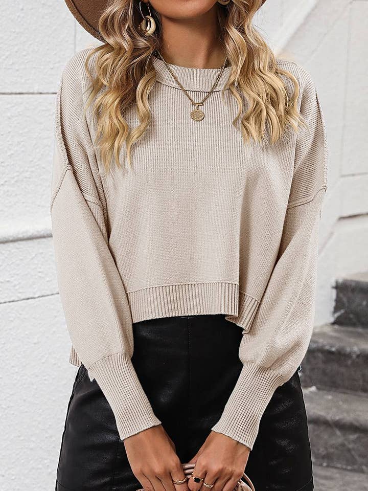 HIDDENBRAND - Wholesale Knit Sweater - Women's - Crewneck Cropped Loose-Fitting Pullover Sweater19