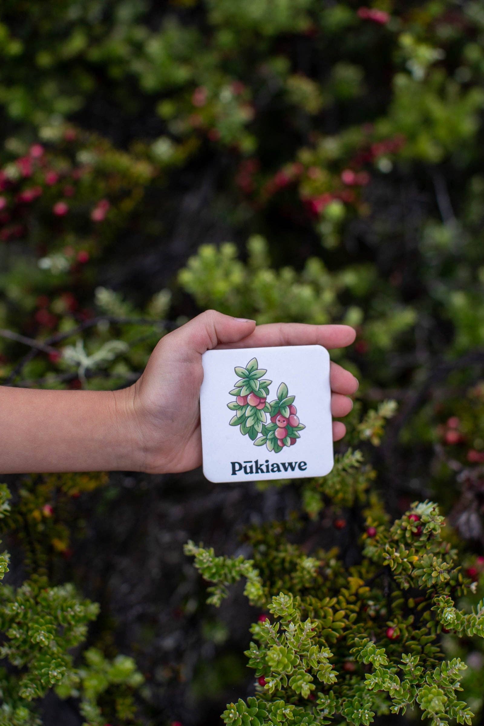 The Keiki Dept - Wholesale Brain Game - Kids - The Memory Game: Mauna Kea8