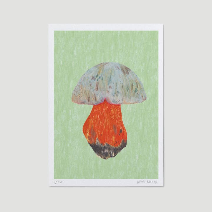Limited Edition A5 Mushroom Print - Satan's Bolete for wholesale by James Barker