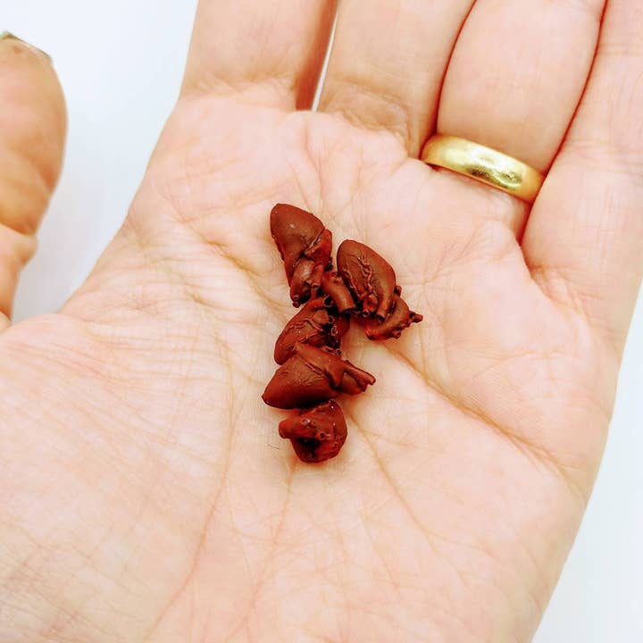 The Scale Grail - Wholesale Decorative figurine - Human Heart, 1:12 scale organ for dioramas, horror scenes, terrariums, dollhouse, action figure and board game accessories (5 hearts)4