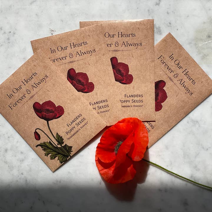 Bentley Seed Co. - Wholesale Plant Seeds - In Our Hearts Remembrance Memorial - Flanders Poppy7