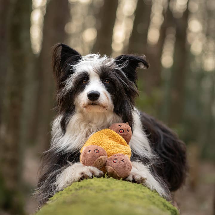 CHEWFFON - Wholesale Pet squeaky toy – Dog - CHEWFFON Chestnut Hide & Seek Squeaky Dog Toy5