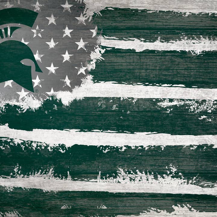 Drapeau de l'État du Michigan 17x26 pour la vente par Fan Creations