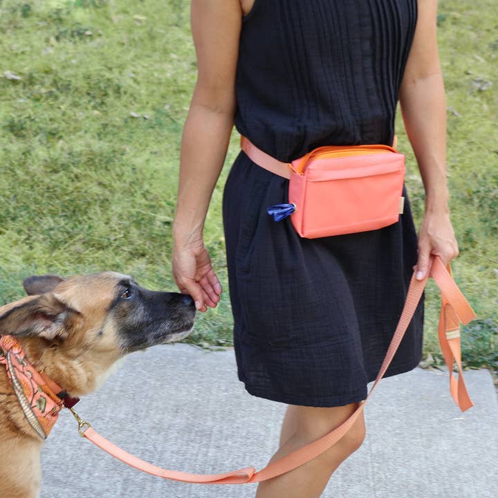 Major Darling - Wholesale Belt Bag - Women's - Dog Walking Fanny Pack7