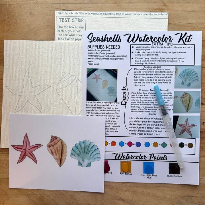 Seashells Watercolor Paint Kit for wholesale by Alexandra N Designs