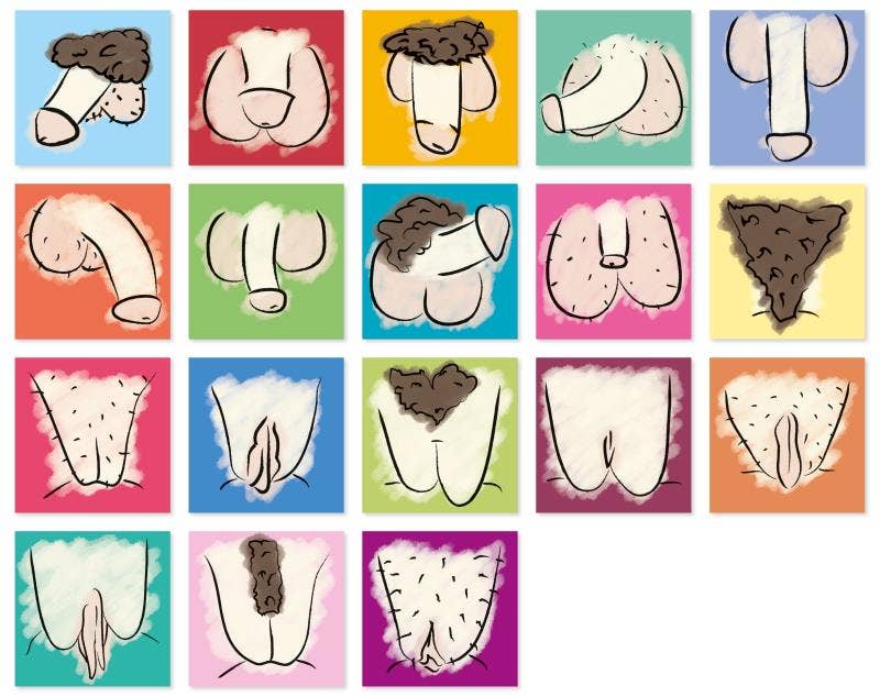 Gespänsterwald – Großhandel Kartenspiele – Memo „Genitals“2