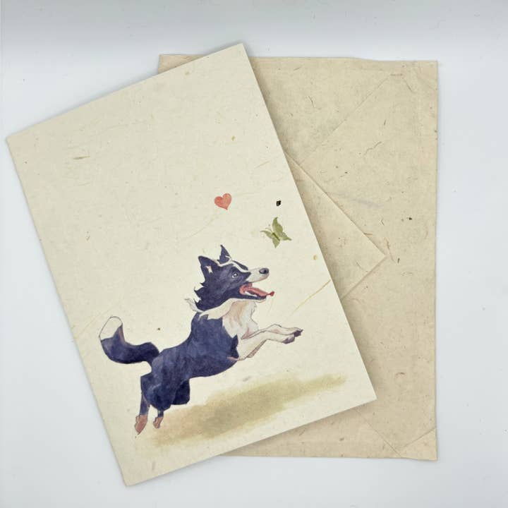 Greeting Card A6, Lokta Paper, Hand-drawn art, Border Collie for wholesale by Everest Pet Supply & Gifts