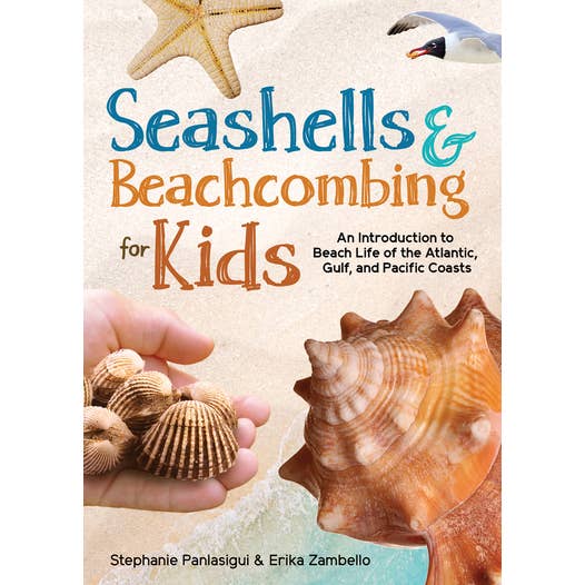 Seashells and Beachcombing for Kids for wholesale by AdventureKEEN