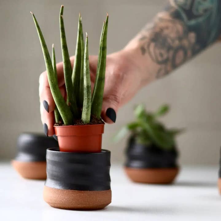 Gravesco Pottery – wholesale Kruka – Blandade små planteringskrukor | 2 tum handgjord keramik