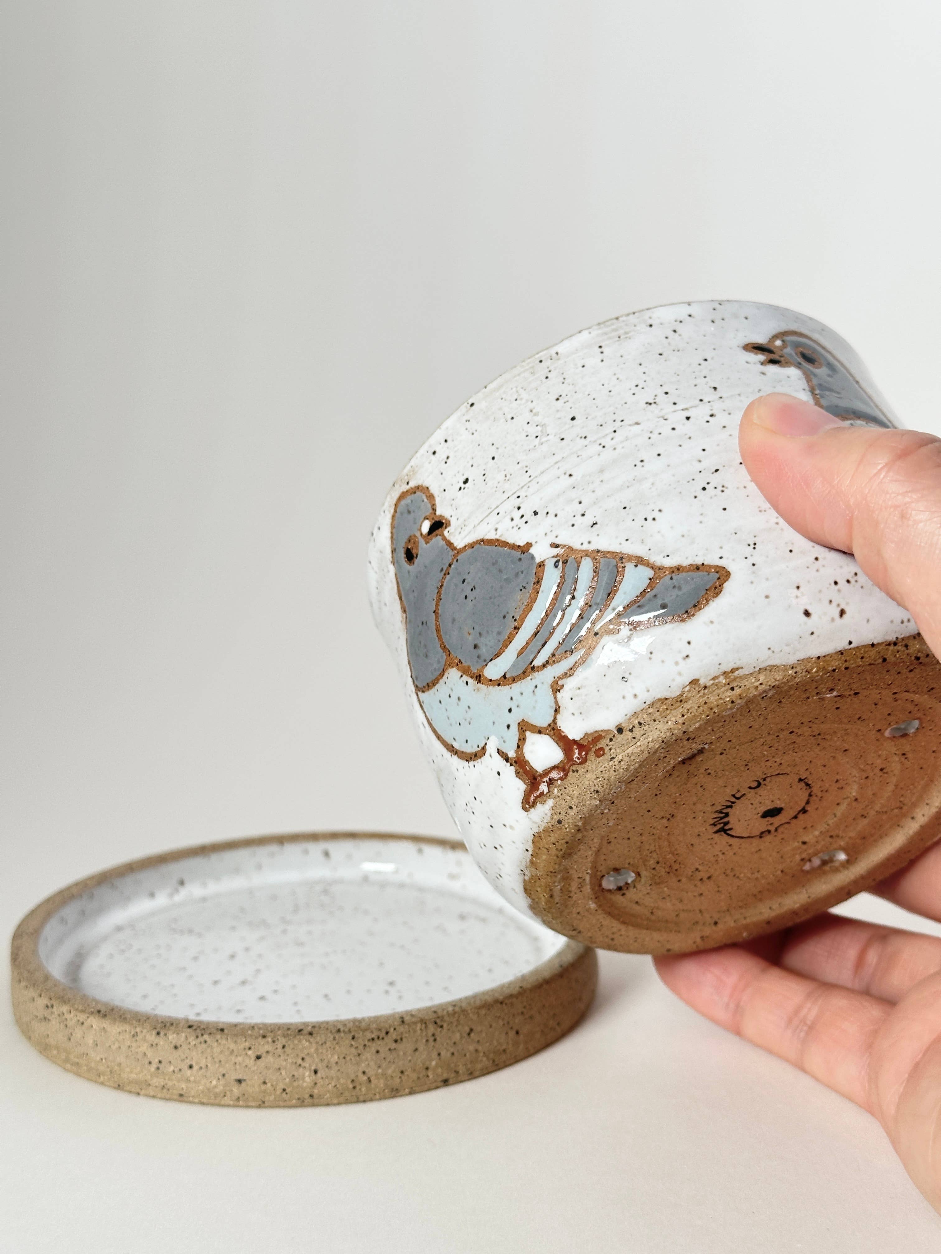 Annie’s Potteries – Vaso de plantas por atacado – Plantadores de Pombos8